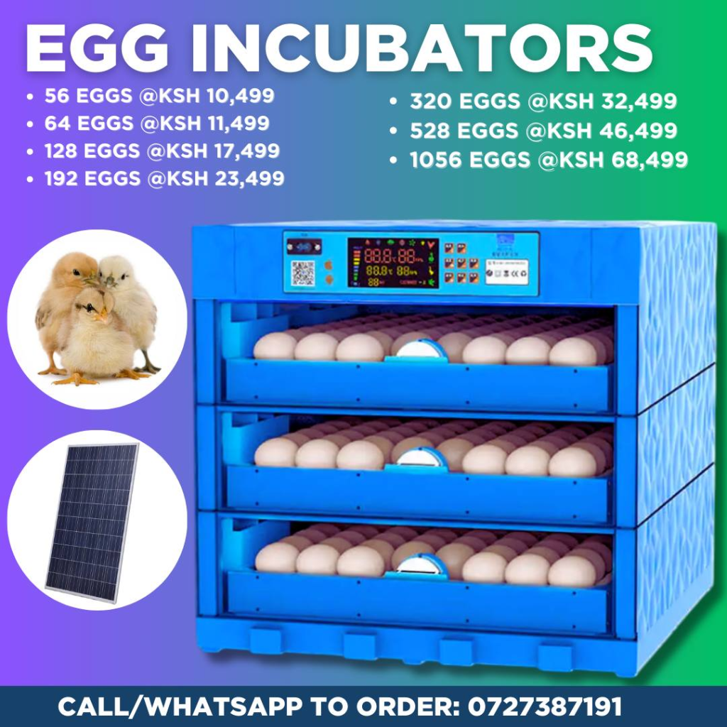 High Efficiency Fully Automatic Egg Incubators